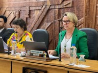 Projeto de melhorias na Escola Maria Waltrudes passa nas comissões